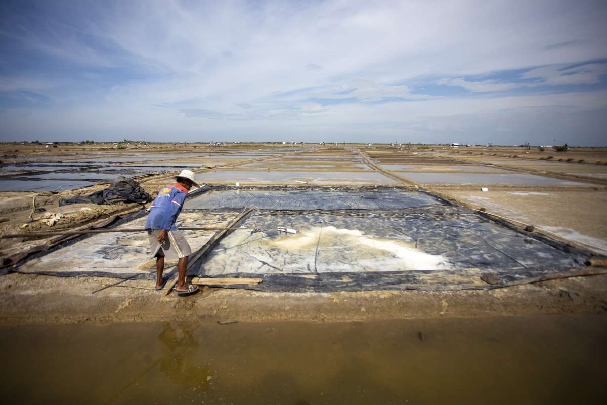 Perlu Serius Swasembada Garam Industri