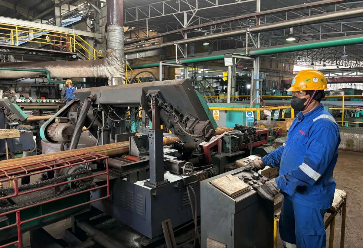 Kenaikan Tarif PPN Jadi 12% Akan Hambat Laju Manufaktur Indonesia