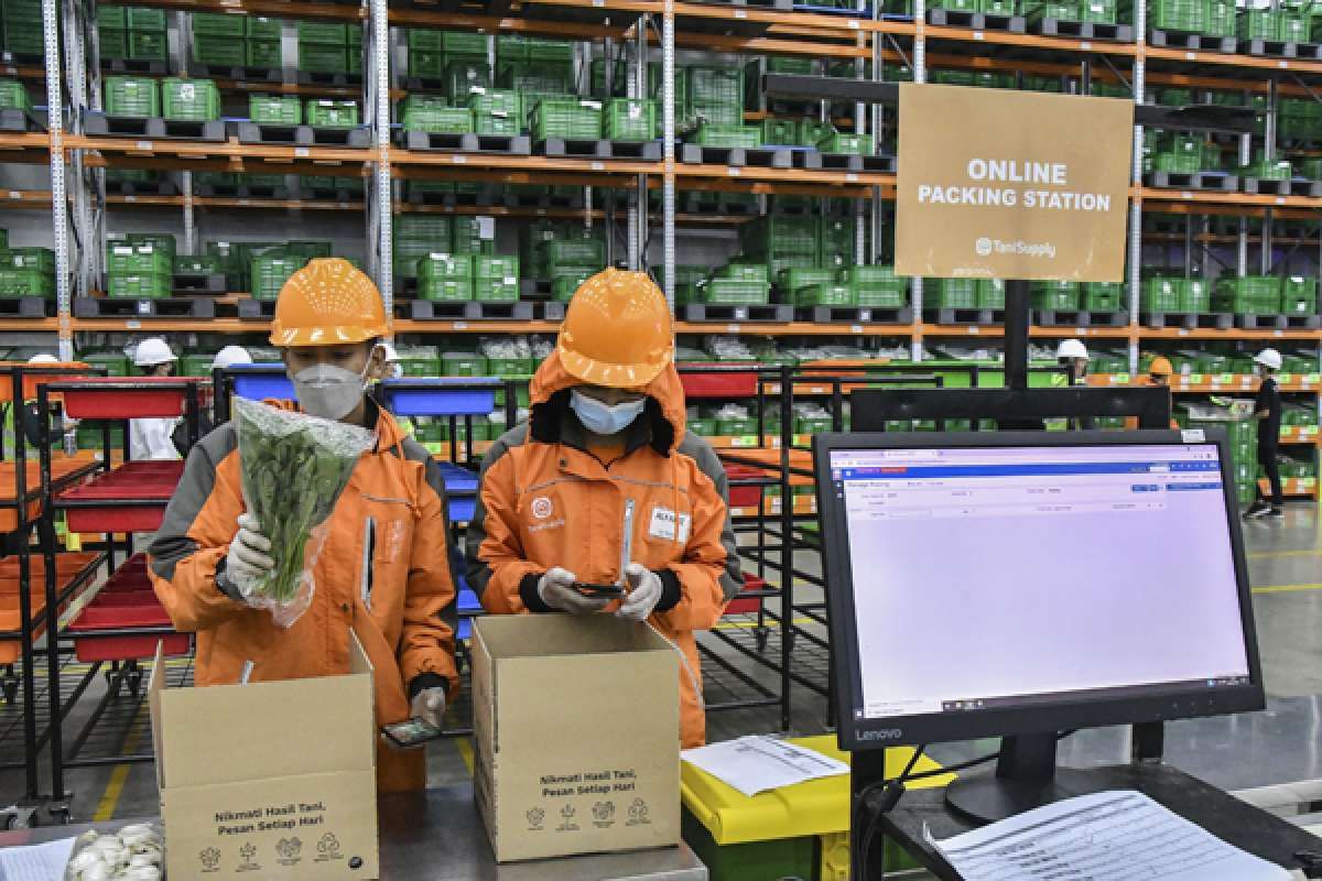 Target Besar Ekspor Produk Pertanian Rp 1.000 Triliun 