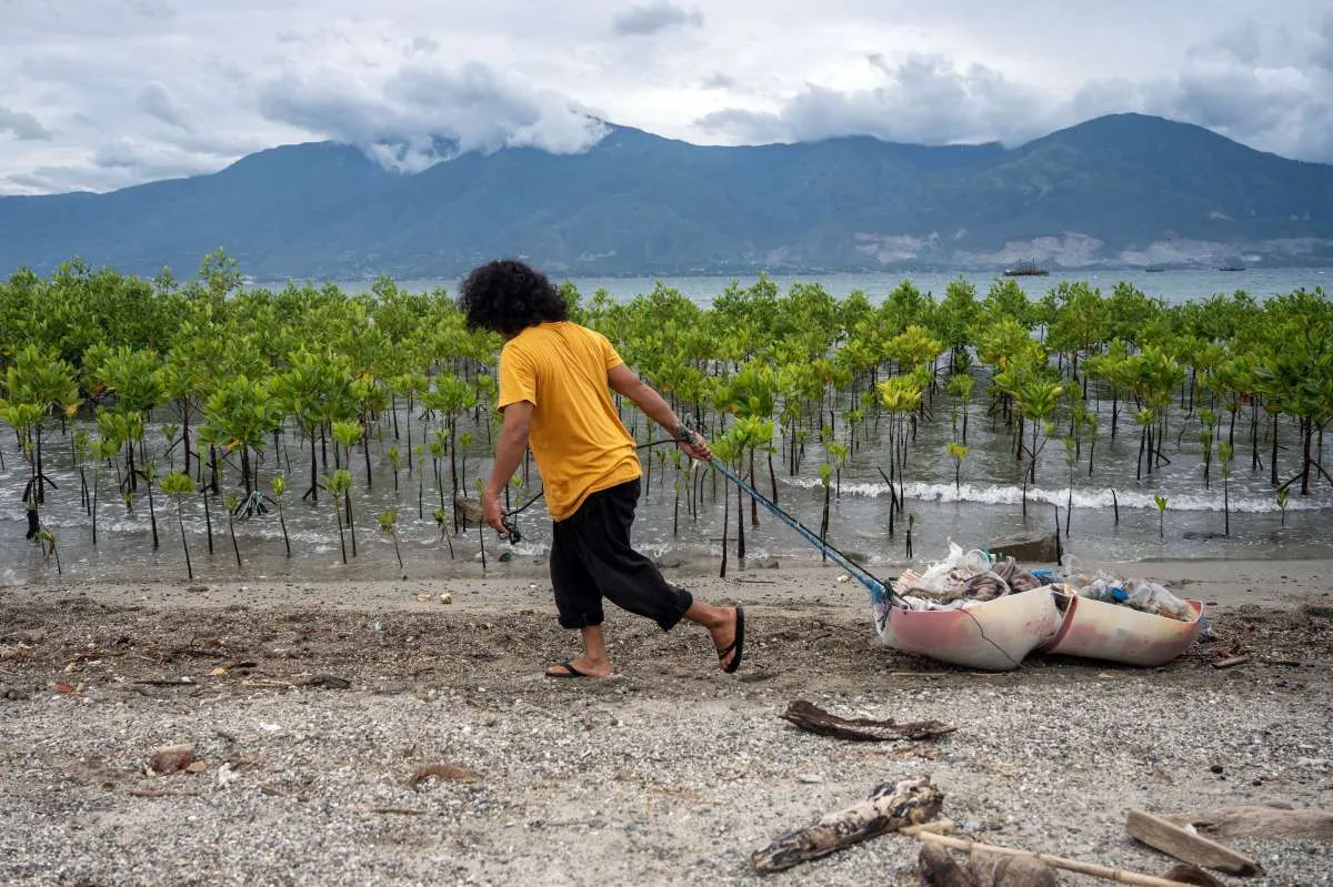 Walhi Nilai RPP Mangrove Belum Libatkan Masyarakat Pesisir Secara Masif