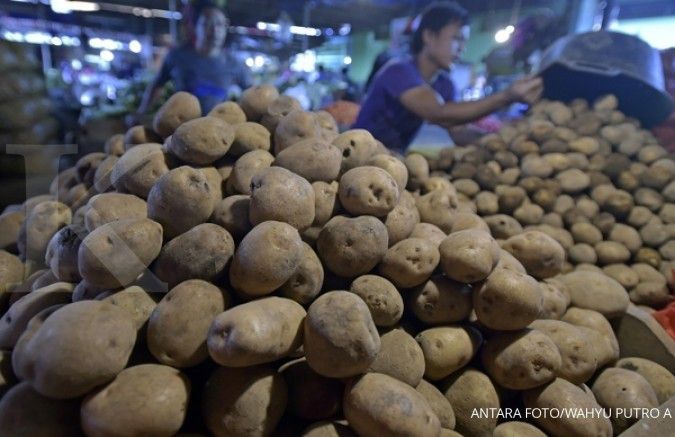 Produksi minim, realisasi stop impor kentang sulit