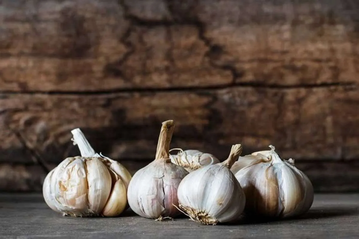 Bawang Putih Bisa Memicu Asam Lambung Tinggi? 