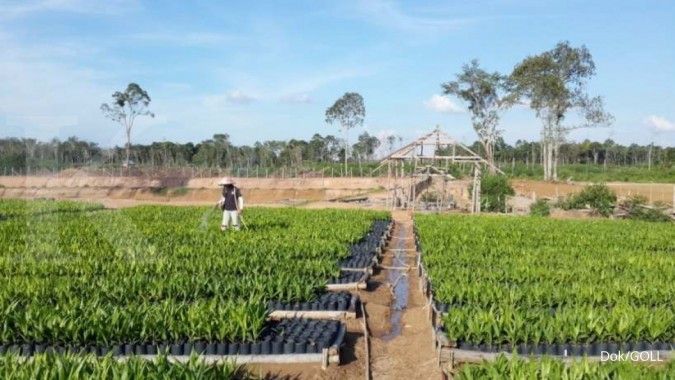 Pendapatan Golden Plantation di Q3 naik 65,11%