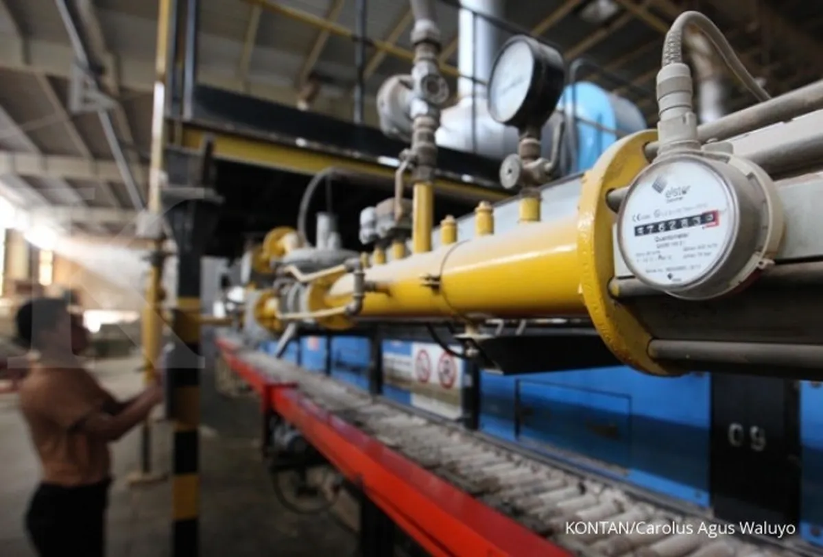 Tekan harga gas industri, Kementerian ESDM tak ingin ambil risiko impor