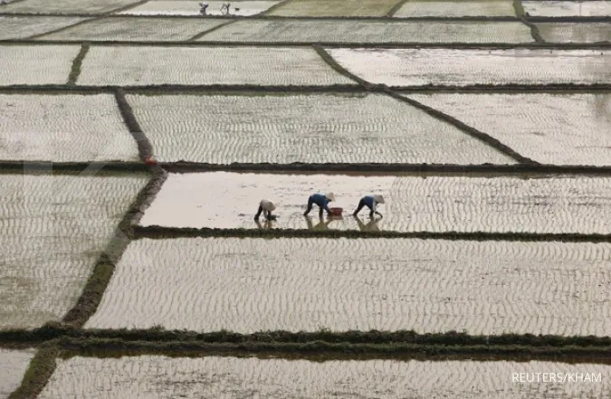 Vietnam to Cut Annual Rice Exports by 44% to 4 Million Tonnes by 2030
