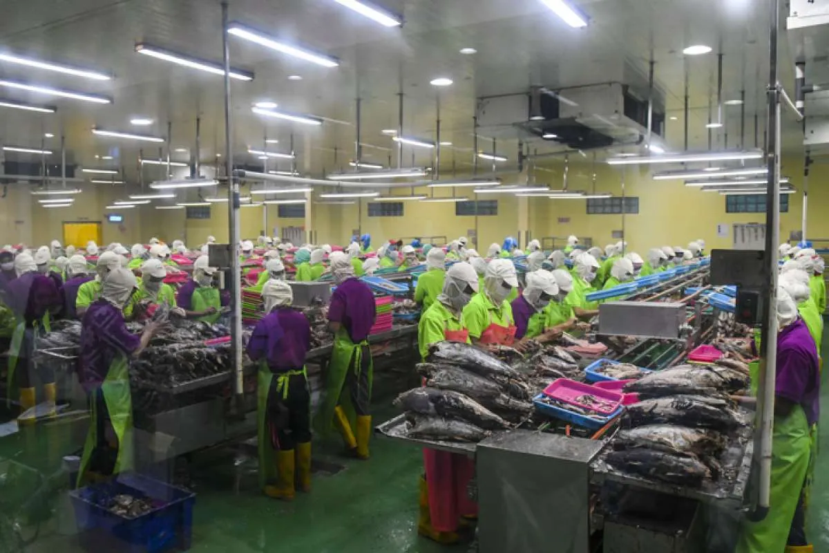 Sektor usaha perikanan paling tidak diminati investor