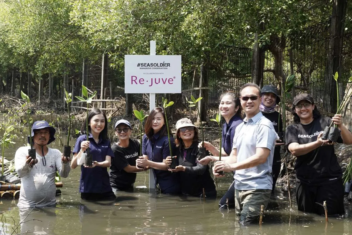 Rejuve Tanam 2.500 Bibit Mangrove Bersama Seasoldier