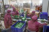 Bayer Tambah Investasi Rp 99 Miliar, Kerek Kapasitas Produksi Suplemen Ibu Hamil 