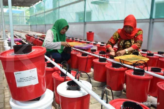 Hidroponik dan bank sampah Pertamina bikin sejahtera kaum ibu di Makassar