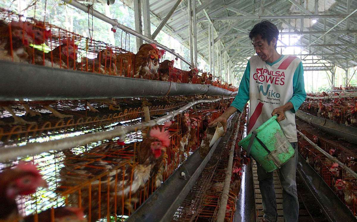 Ekosistem Pembiayaan KUR Sektor Pertanian dan Peternakan