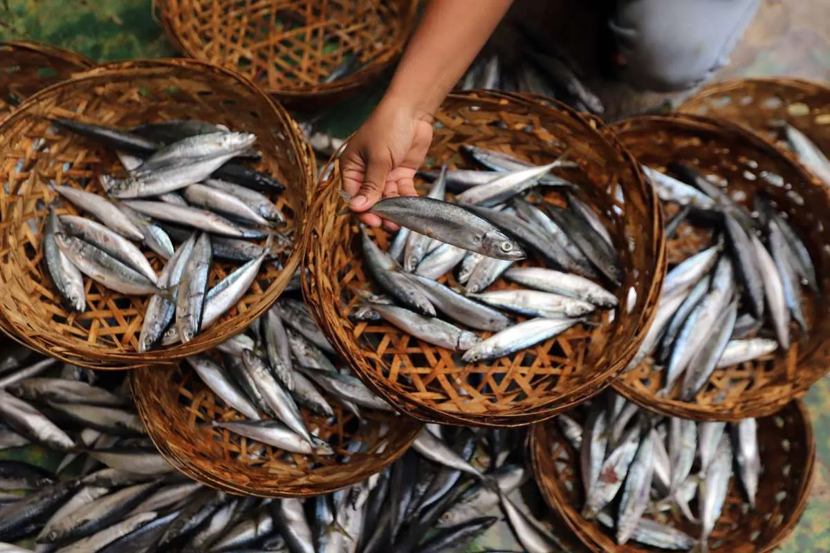 BRI Catat Outstanding Pinjaman Segmen Ultra Mikro Mencapai Rp611,2 triliun