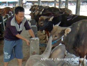 Kemendag: Stok daging sapi jelang puasa dan Lebaran aman!