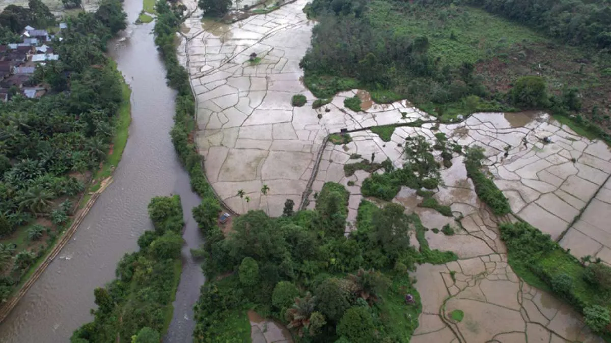 25 Ucapan Hari Bumi 2026: Raih Inspirasi Jaga Planet, Masa Depan Lebih Hijau!