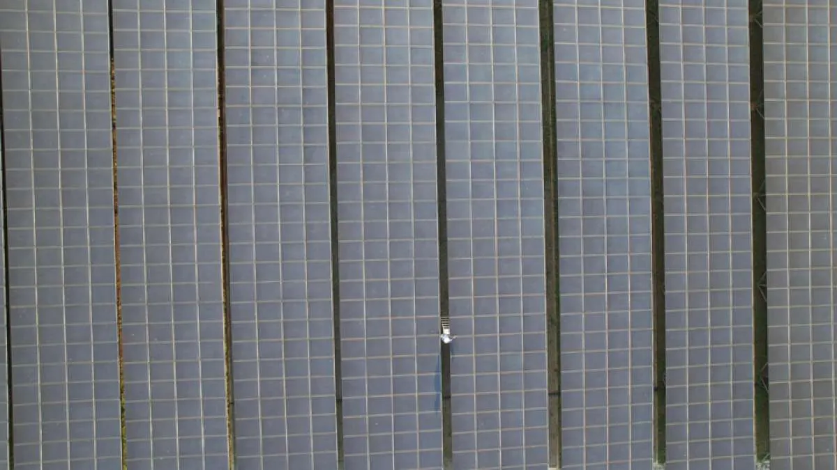 IESR Ungkap Ada 4 Alasan Masih Rendahnya Alokasi Kredit untuk Energi Terbarukan