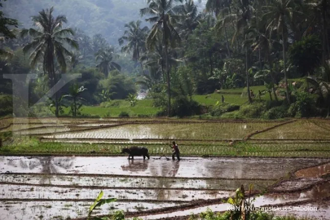 Bogor eyes heritage site status, traffic reduction