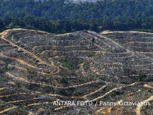 RUU Pembalakan Liar dianggap tidak konsisten terhadap sistem lex specialis