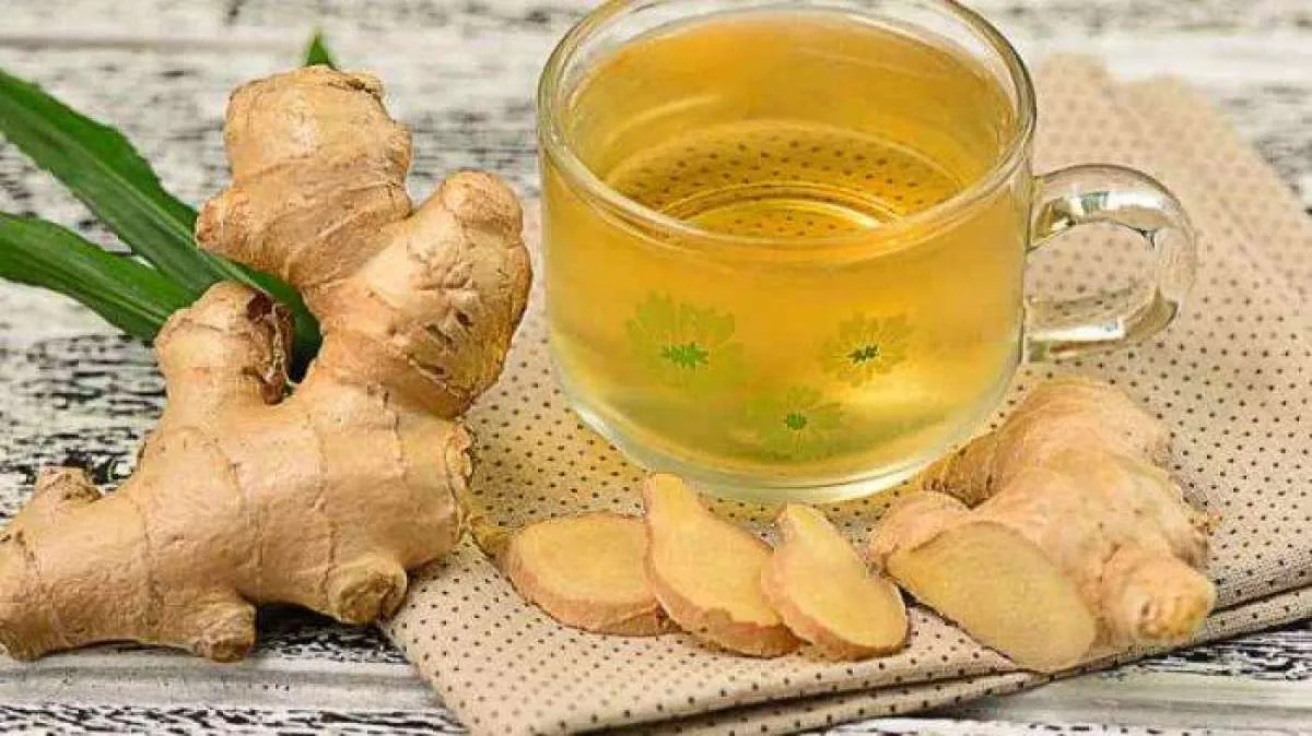 Selain menghangatkan tubuh, ini manfaat jahe sebagai obat herbal 