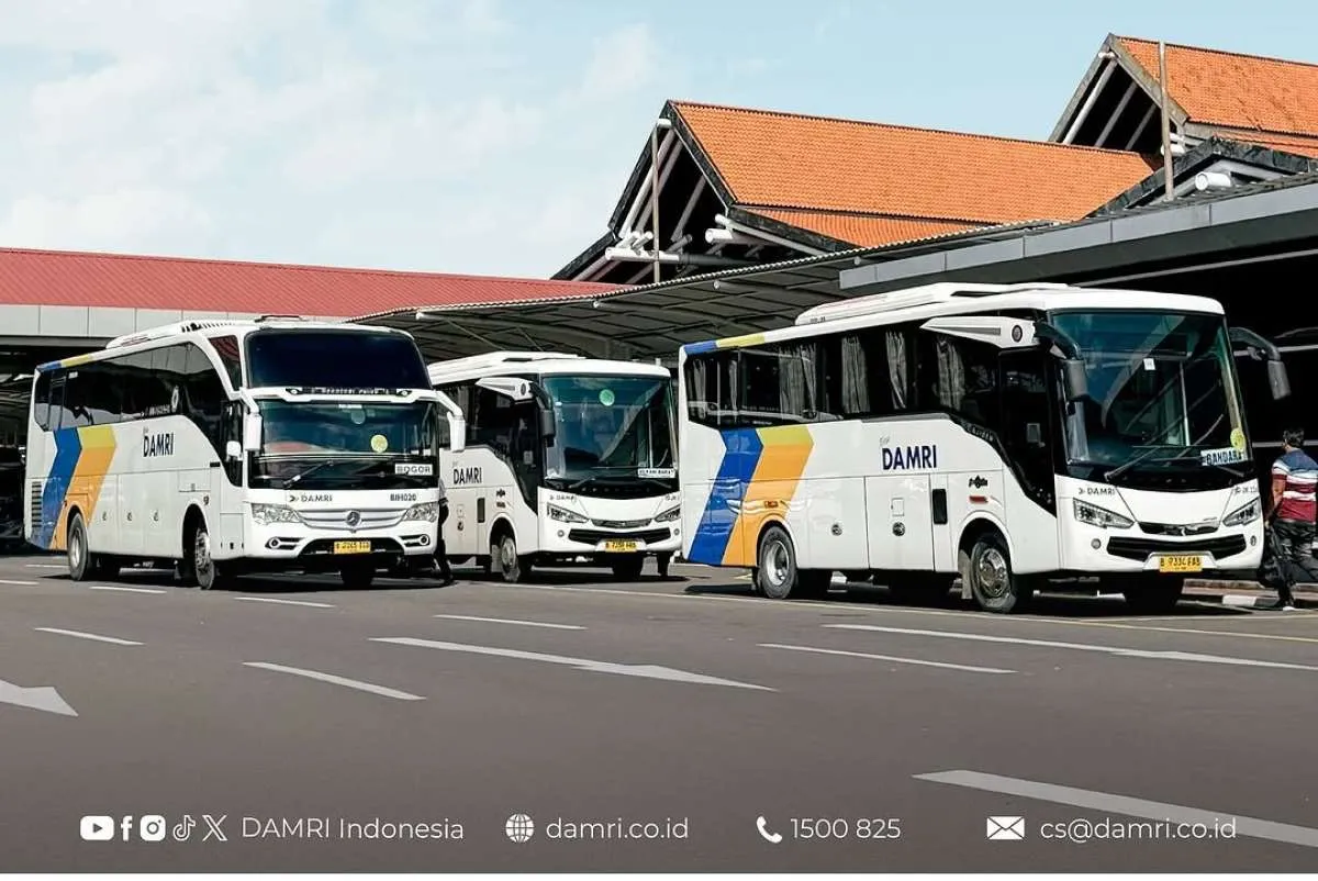 Inilah Promo Twindate 5.5 dari DAMRI, Cek Ketentuan Lengkapnya