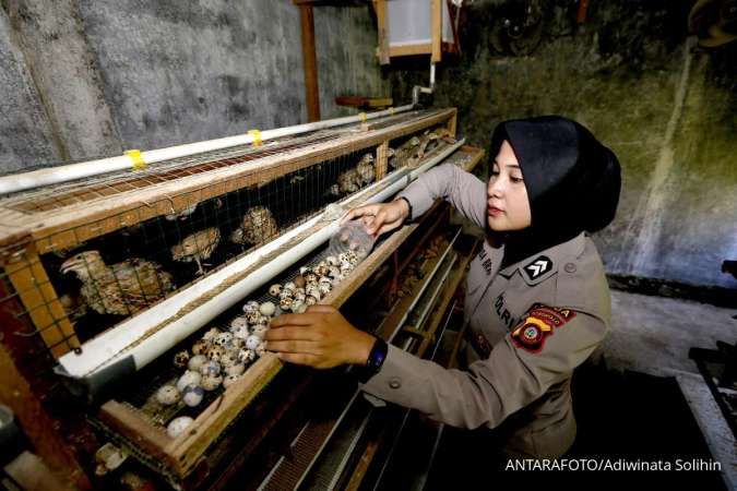 MBG Diklaim Jangkau 60 Juta Orang, Celios: Ada Pergeseran dari Gizi ke Motif Ekonomi