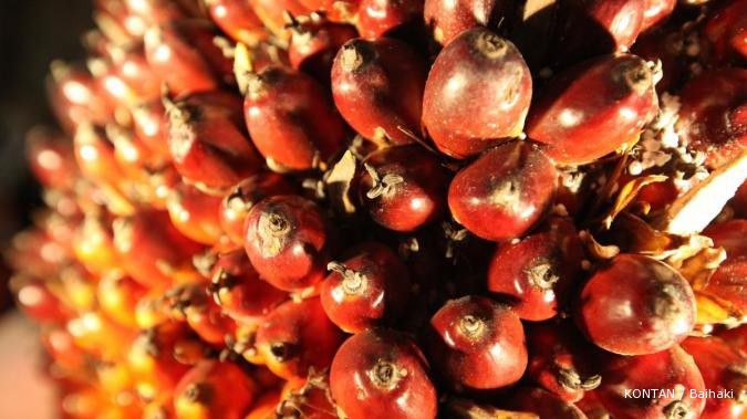 Ini daftar produsen benih kelapa sawit Indonesia