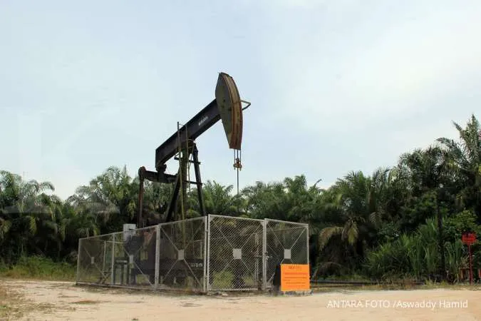 Indonesia offers 8 new oil and gas blocks for bids