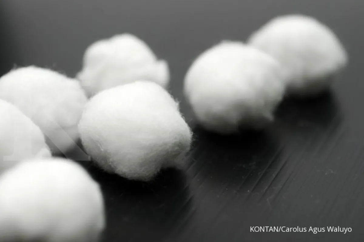 Cuaca Ekstrem Menyerang, Pasokan Kapas Dunia Mulai Berkurang