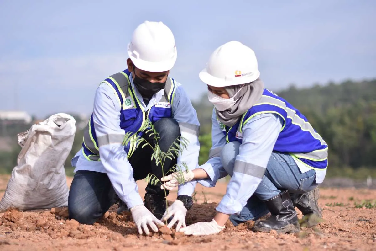 Per Juni 2022, Bukit Asam Sudah Tanam 1,33 Juta Pohon di Areal Reklamasi