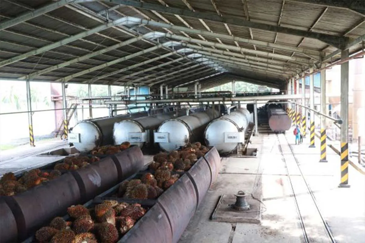Laba bersih Cisadane Sawit Raya (CSRA) kuartal I 2020 meloncat 328,19%