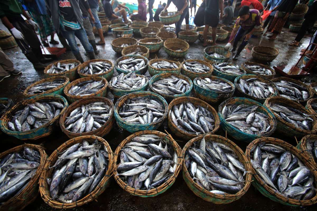 Harga dan Pasokan Perikanan Masih Stabil