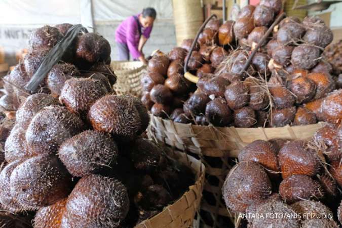 Khasiat buah salak untuk kesehatan, obat mata, pencernaan dll