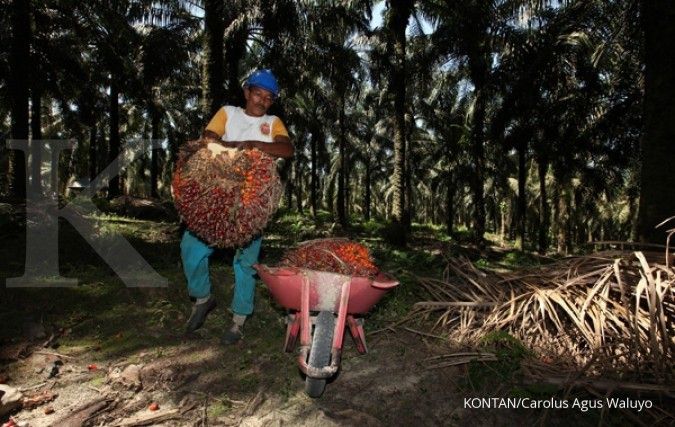 Petani sawit mitra Asian Agri dapat dana Rp 6,7 M