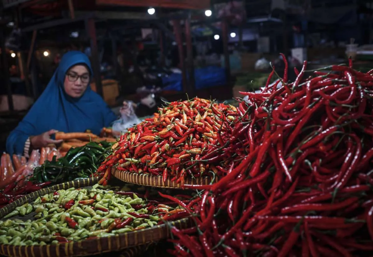 Awal Pekan, Hampir Semua Komoditas Pangan Mengalami Kenaikan Harga