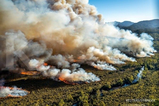Wilayah Queensland dan New South Wales, Australia dilanda kebakaran hebat