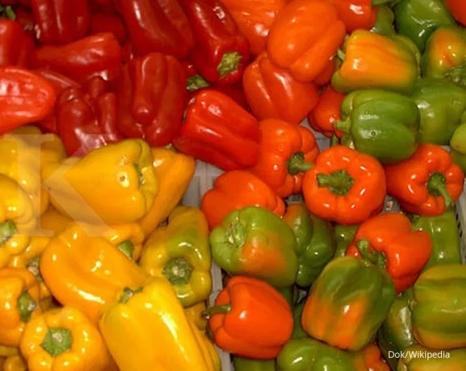 Paprika