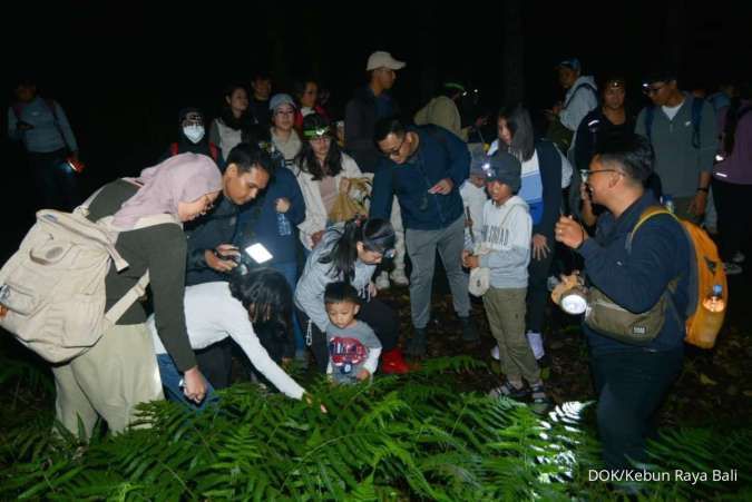  Eksplorasi Kunang-kunang Ungkap Kesehatan Ekosistem  Kebun Raya Bali
