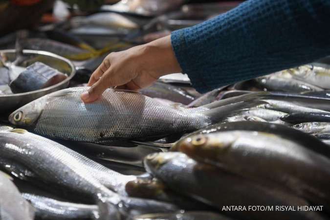 Harga Pangan di Kepulauan Bangka Belitung 17 Oktober 2024: Harga Ikan Turun