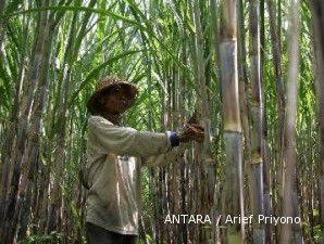 Swasembada gula terganjal kesiapan lahan 