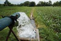 Jaga Produksi Pangan, Mendagri Minta Daerah Jangan Konversi Lahan Pertanian