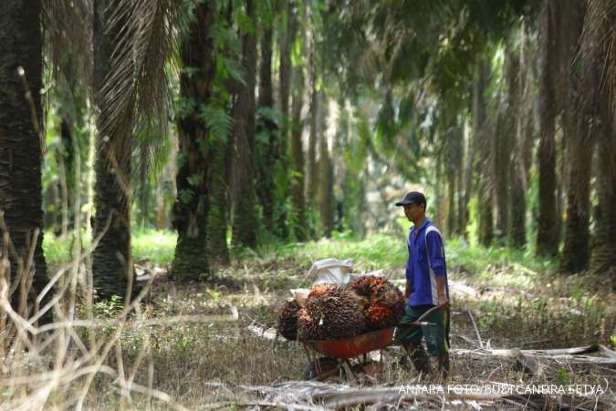 Kontribusi Indonesia di Produksi Minyak Sawit Dunia Besar