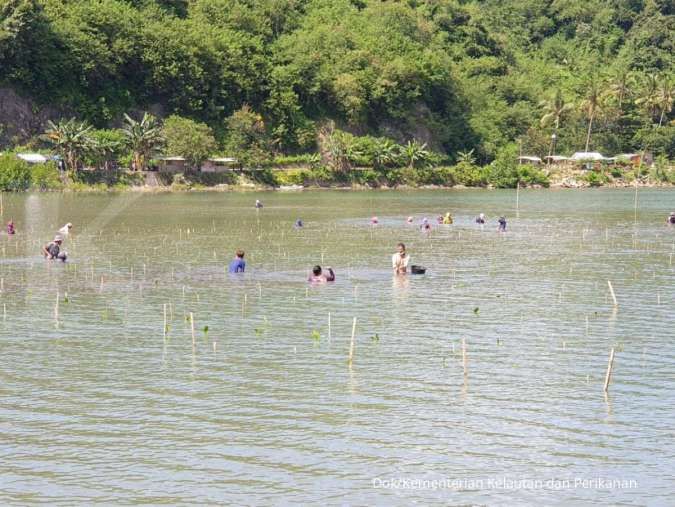 Tanam 50.000 Bibit Mangrove, KKP Rehabilitasi Pesisir Lombok Barat