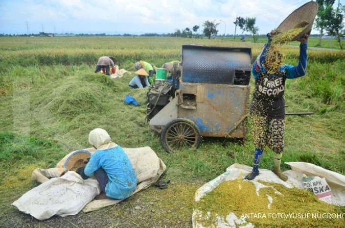 Komisi IV DPR menolak rencana impor beras 1 juta ton