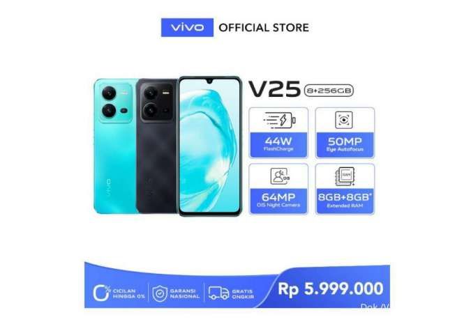 Spesifikasi Vivo V25