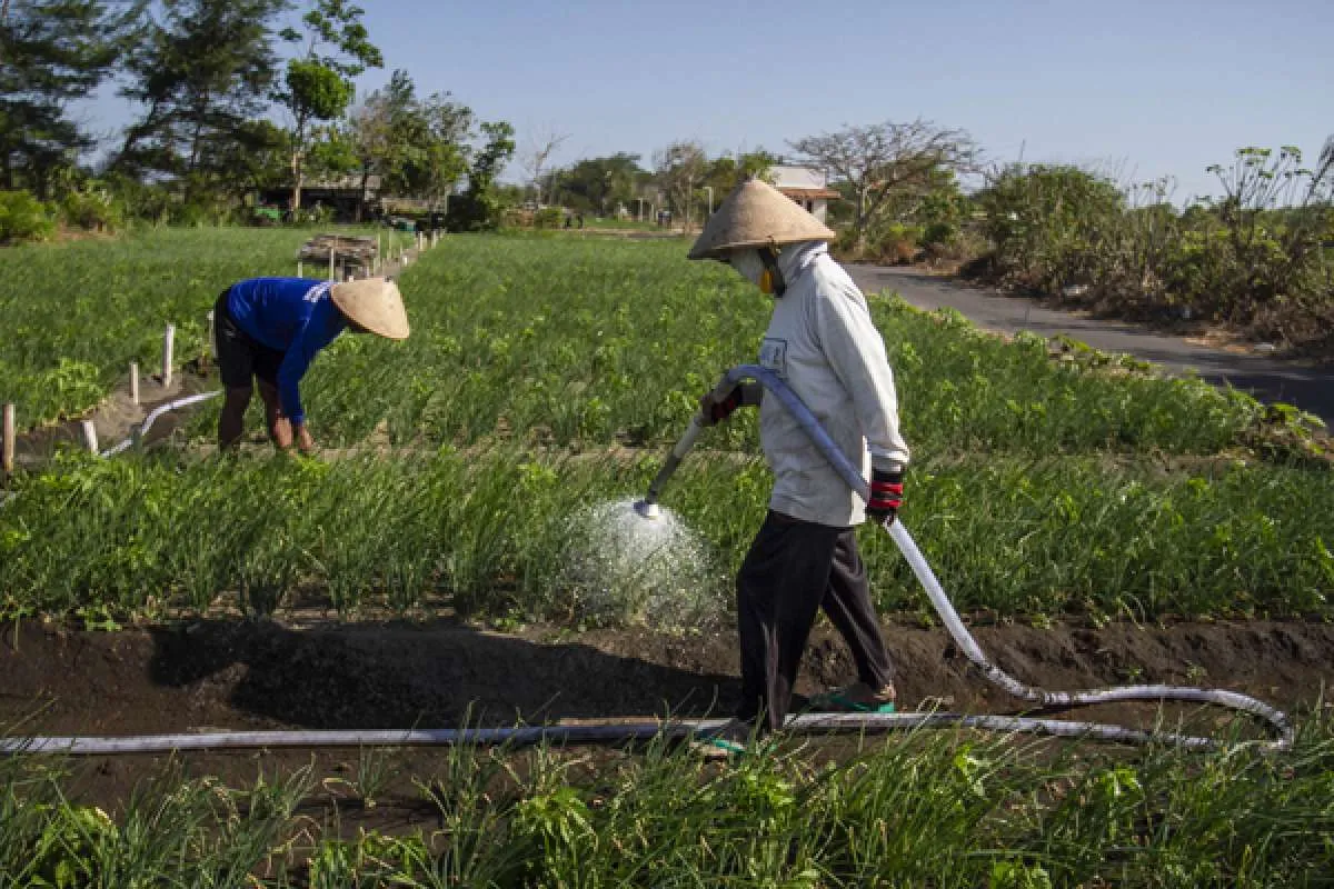 Ini 3 sektor yang tetap tumbuh saat ekonomi Indonesia minus 