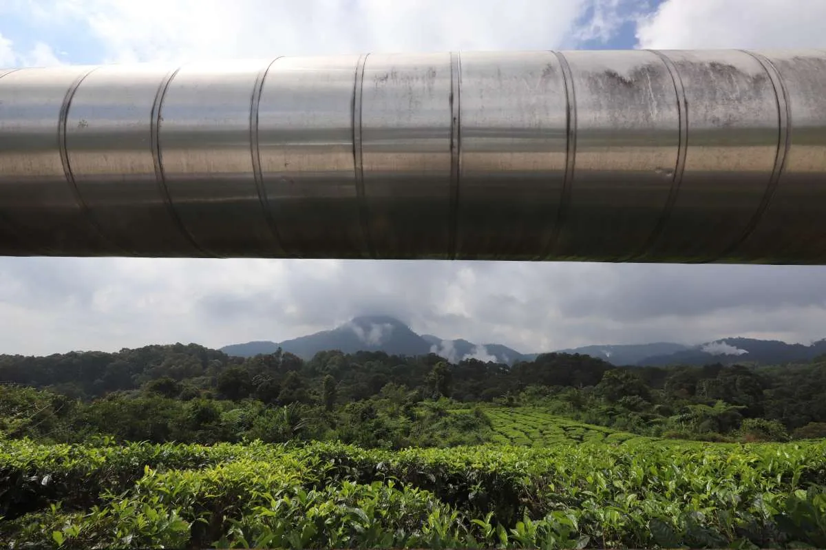 PLN IP Garap Monetisasi Aset Karbon, Dorong Nilai Ekonomi dari PLTP Gunung Salak