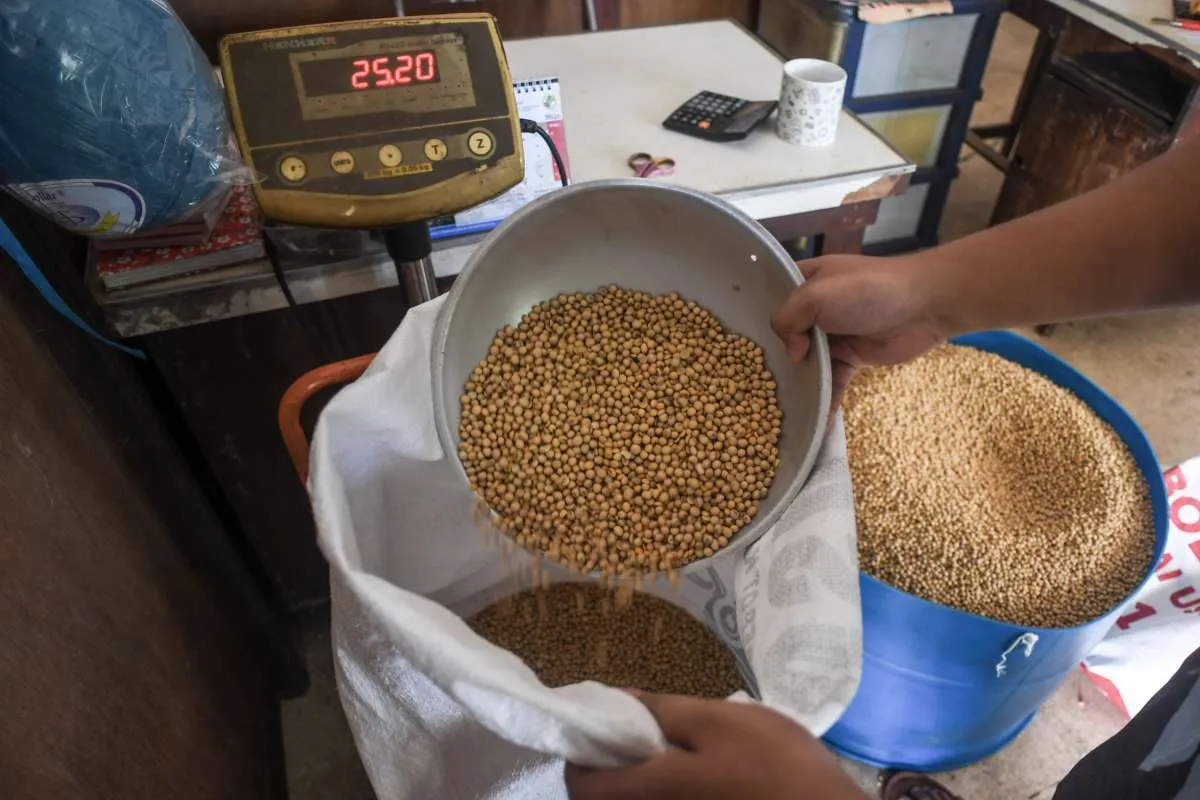 Industri Pakan Tunggu Kepastian Harga Bungkil Kedelai dari PT Berdikari