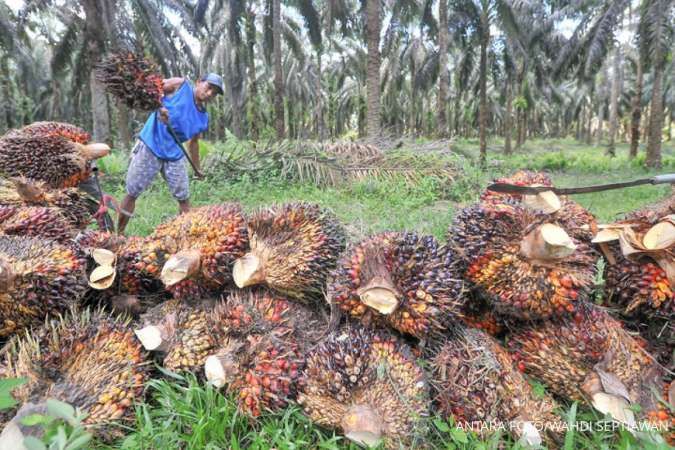 Ekspor Minyak Kelapa Sawit, Batubara dan Besi Baja Indonesia Menyusut