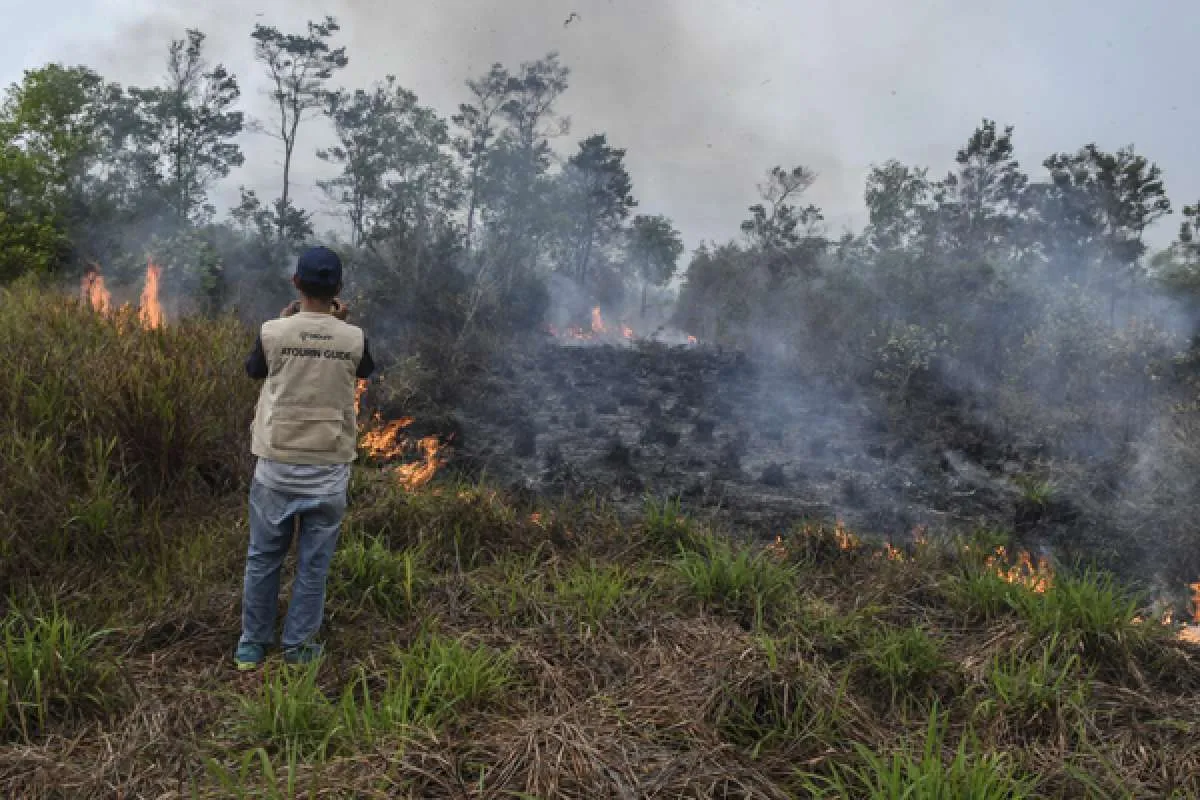 Ini upaya KLHK kendalikan kebakaran hutan dan lahan