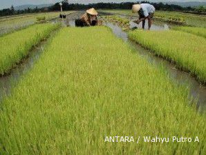 Ekspor beras dari Thailand tahun ini bakal mencapai 9,5 juta ton