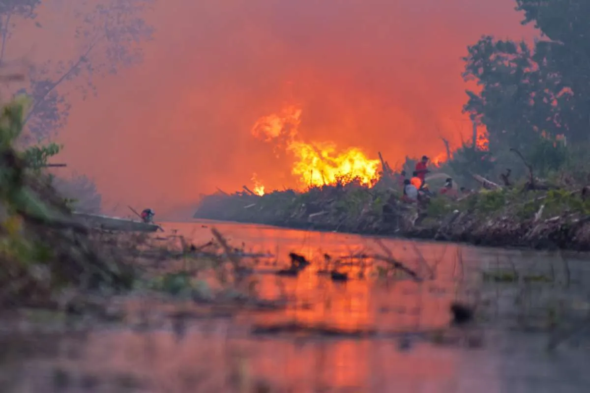Indonesia tertinggal jauh dari Thailand dalam mengantisipasi kebakaran hutan