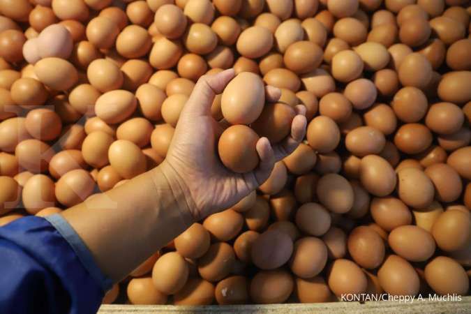 Agen Sembako di Pasar Palmerah: Harga Telur Tembus Rp 32.000 Per Kg